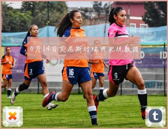 6月14日突尼斯对瑞典犯规数据