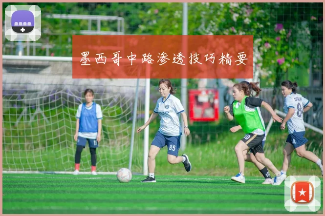 墨西哥中路渗透技巧精要