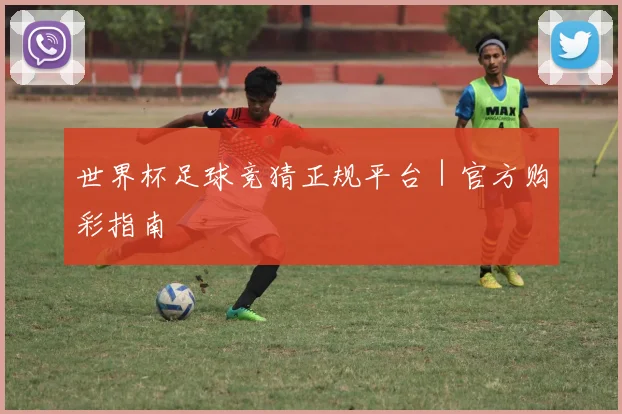 世界杯足球竞猜正规平台｜官方购彩指南