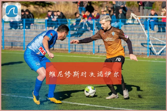 维尼修斯对决诺伊尔