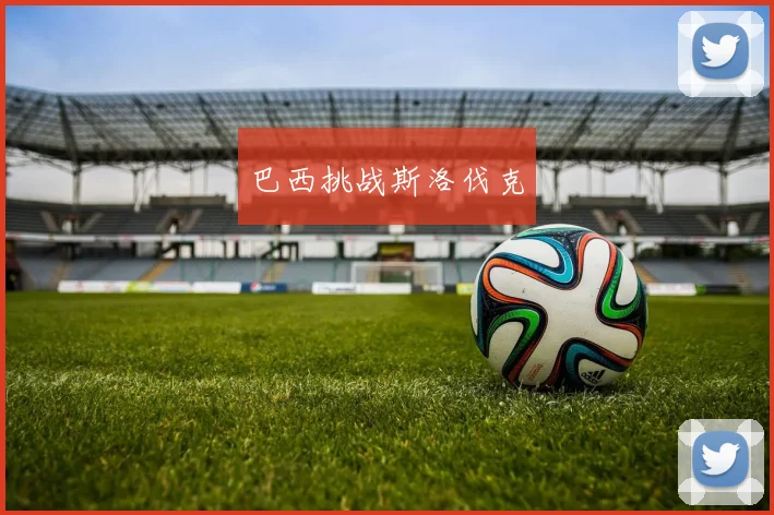 巴西挑战斯洛伐克