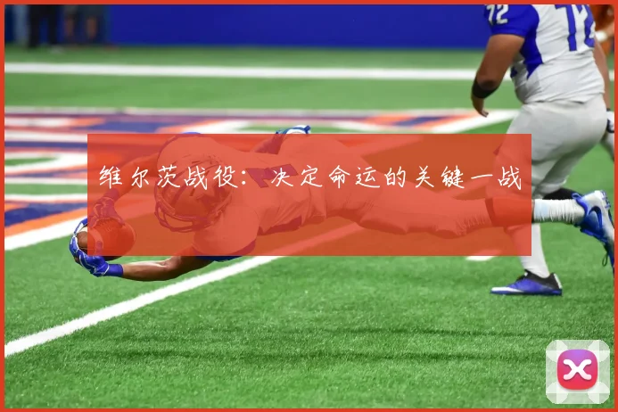 维尔茨战役：决定命运的关键一战