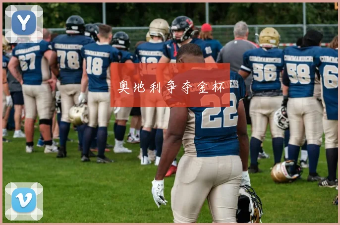 奥地利争夺金杯
