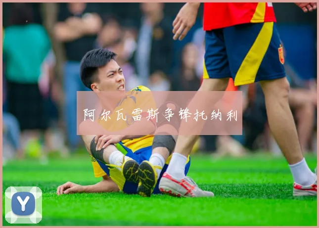 阿尔瓦雷斯争锋托纳利