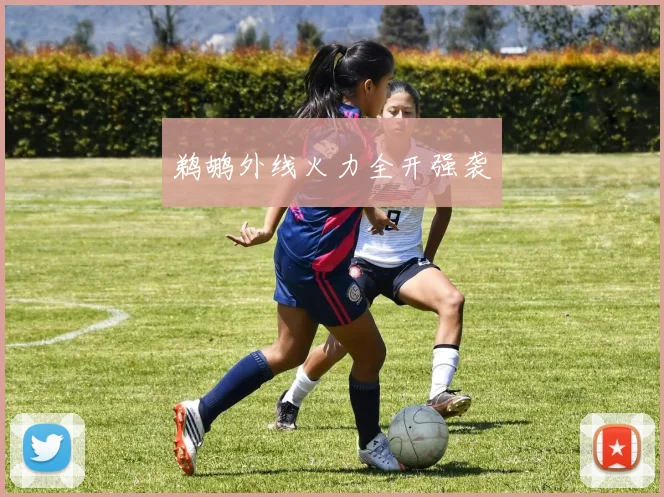 鹈鹕外线火力全开强袭
