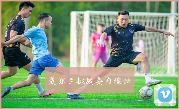 爱尔兰挑战委内瑞拉