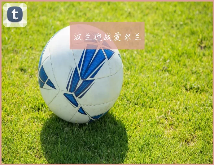 波兰迎战爱尔兰