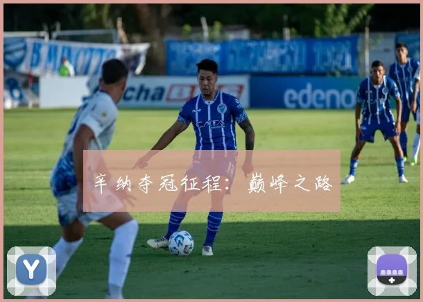 辛纳夺冠征程：巅峰之路