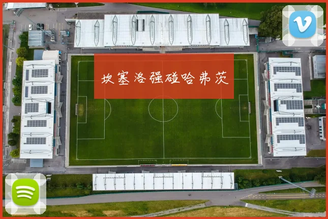 坎塞洛强碰哈弗茨