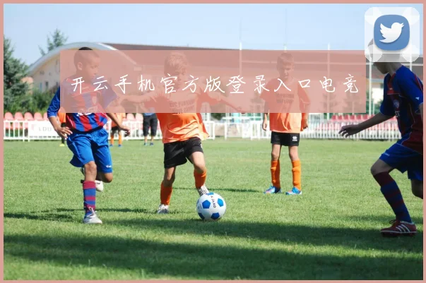开云手机官方版登录入口电竞