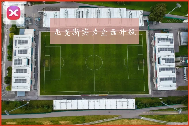 尼克斯实力全面升级