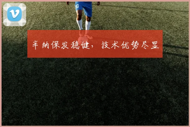 辛纳保发稳健，技术优势尽显