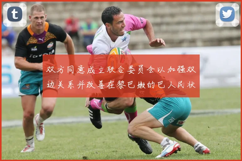 双方同意成立联合委员会以加强双边关系并改善在黎巴嫩的巴人民状况