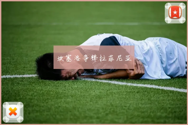 坎塞洛争锋拉菲尼亚