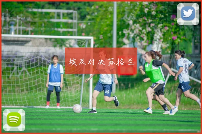 埃及对决苏格兰
