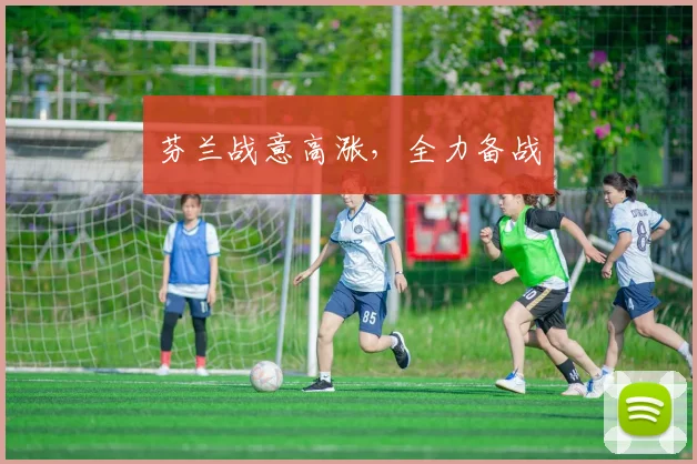 芬兰战意高涨，全力备战