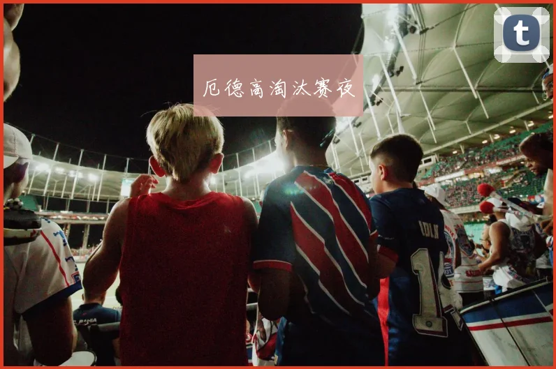 厄德高淘汰赛夜
