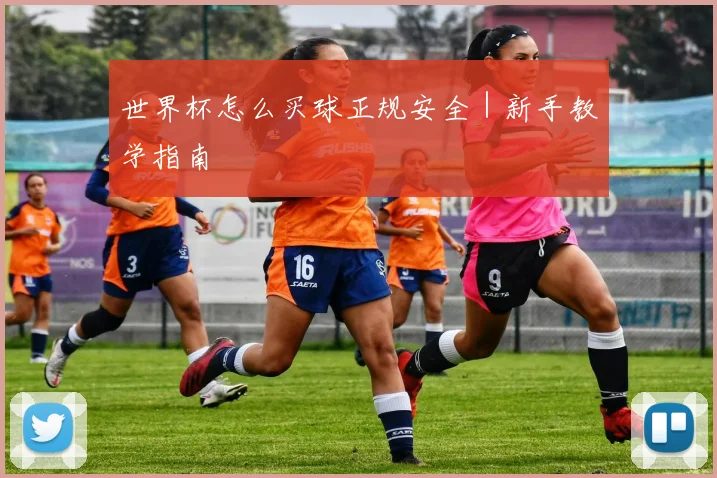 世界杯怎么买球正规安全｜新手教学指南