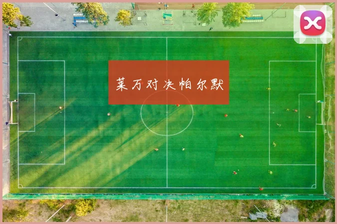 莱万对决帕尔默