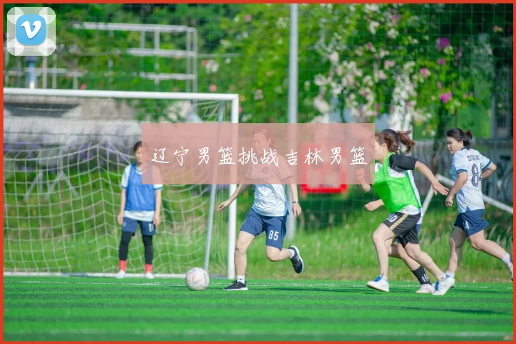 辽宁男篮挑战吉林男篮
