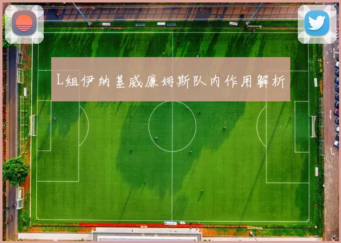 L组伊纳基威廉姆斯队内作用解析