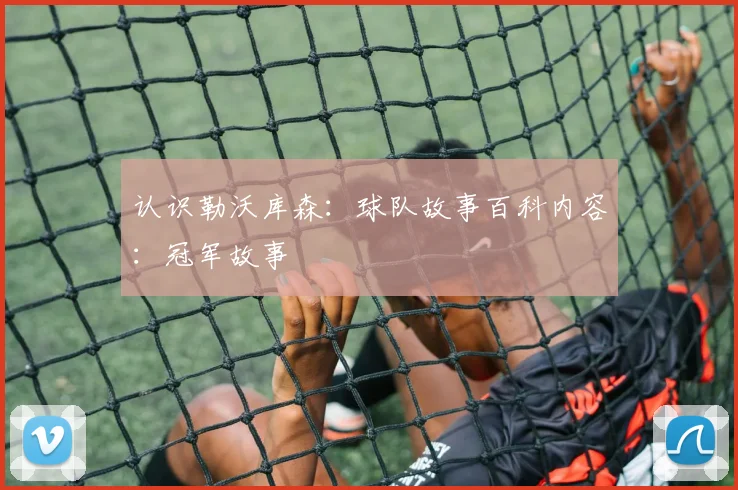 认识勒沃库森:球队故事百科内容:冠军故事
