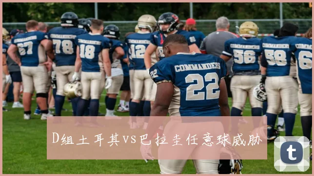 D组土耳其vs巴拉圭任意球威胁